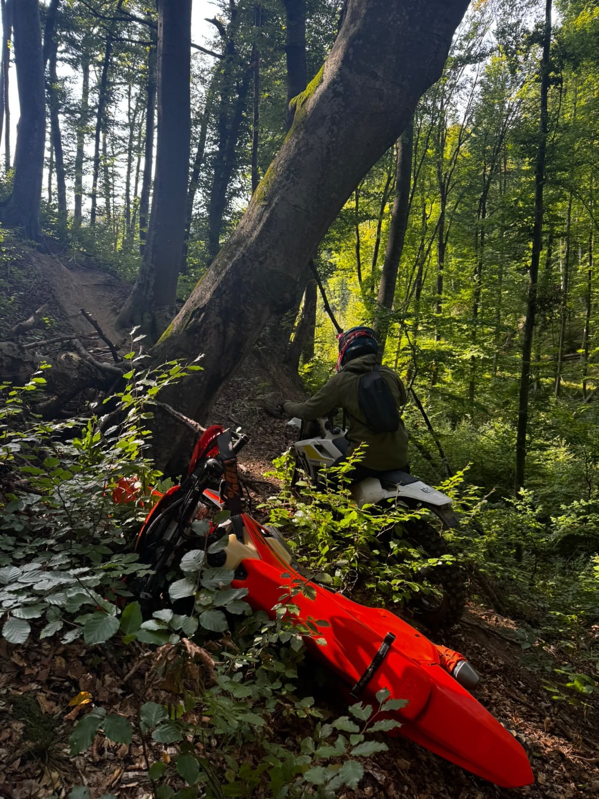 Adventure Enduro Tours Romania 25