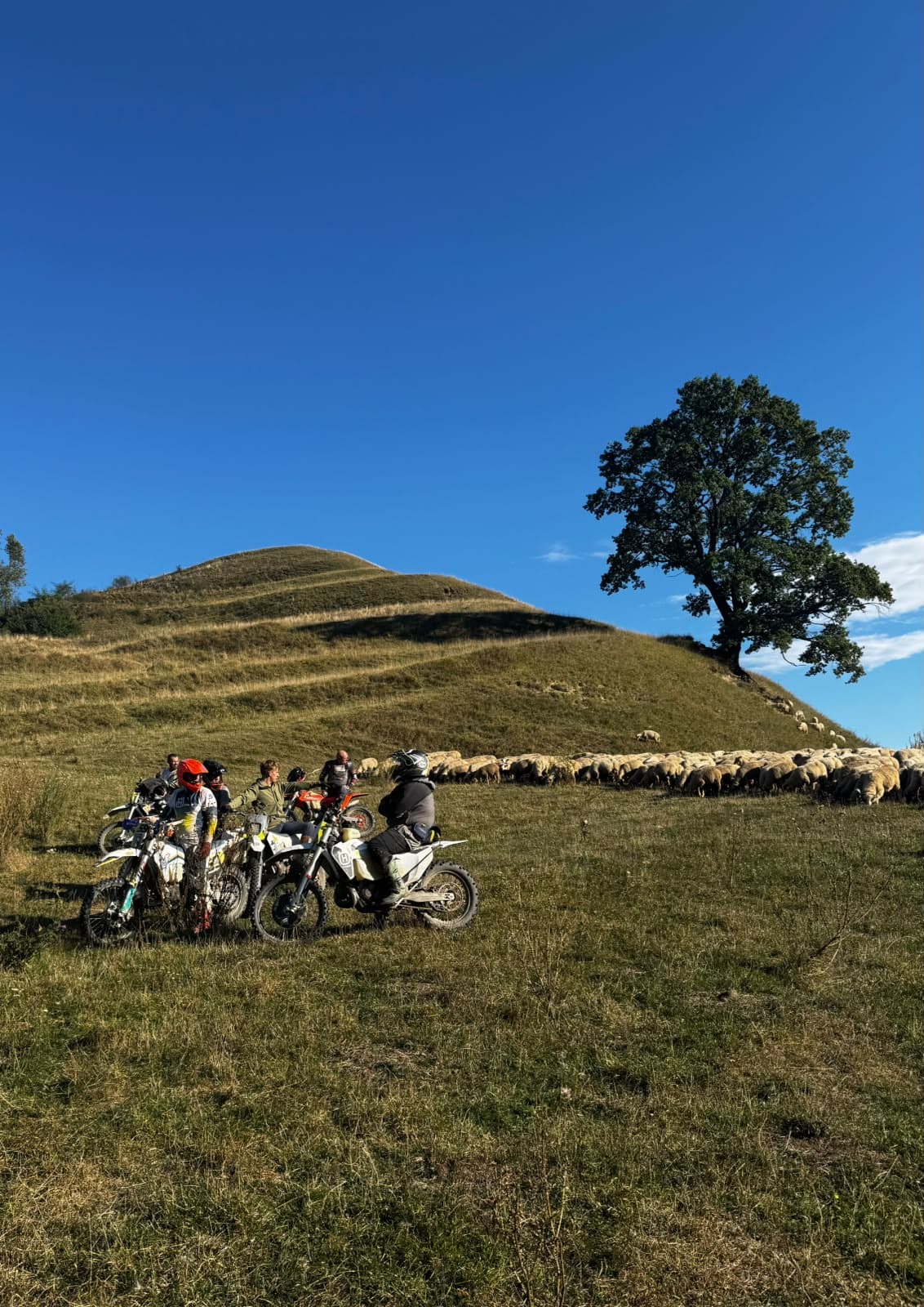 Adventure Enduro Tours Romania 27