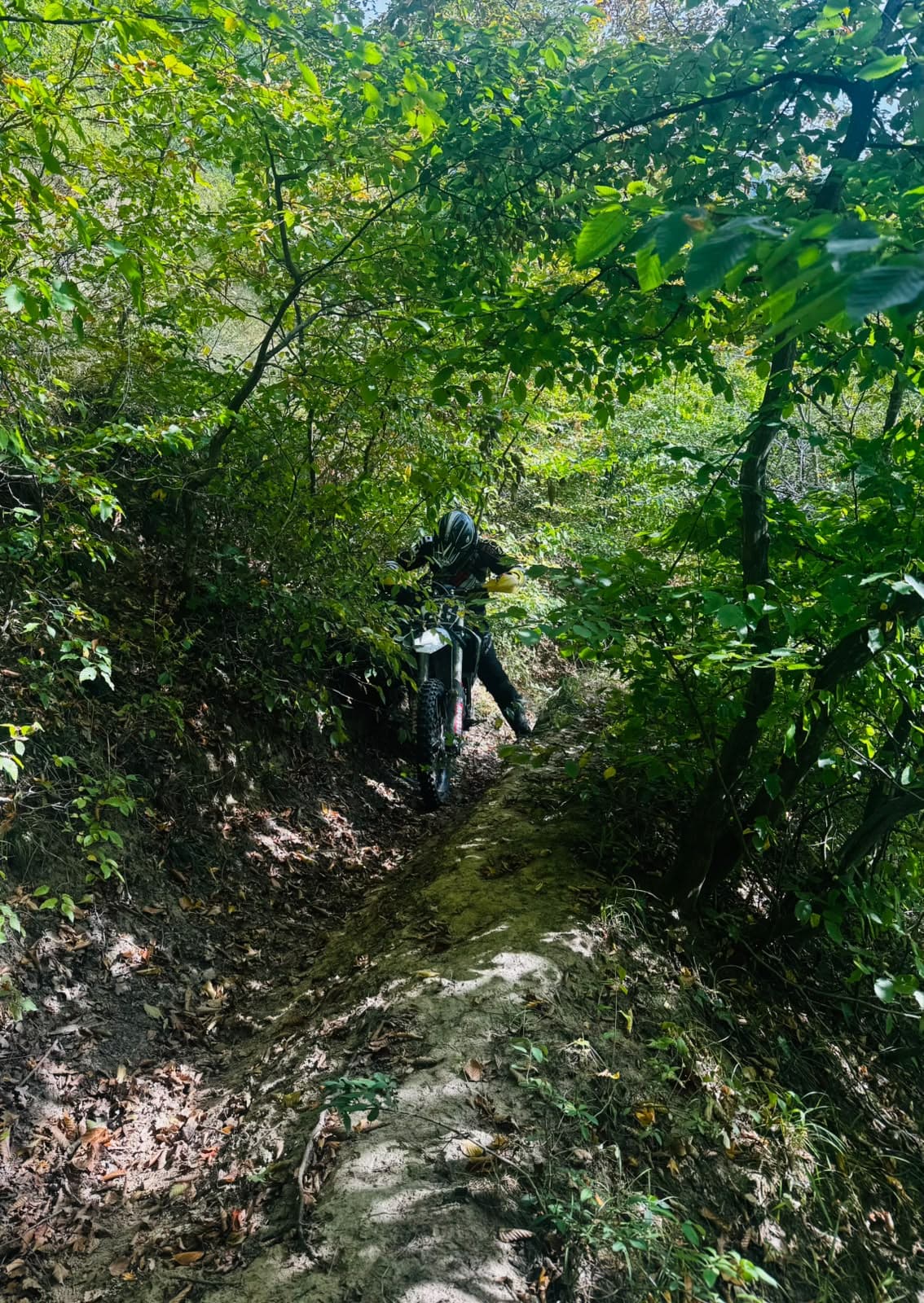 Adventure Enduro Tours Romania 32